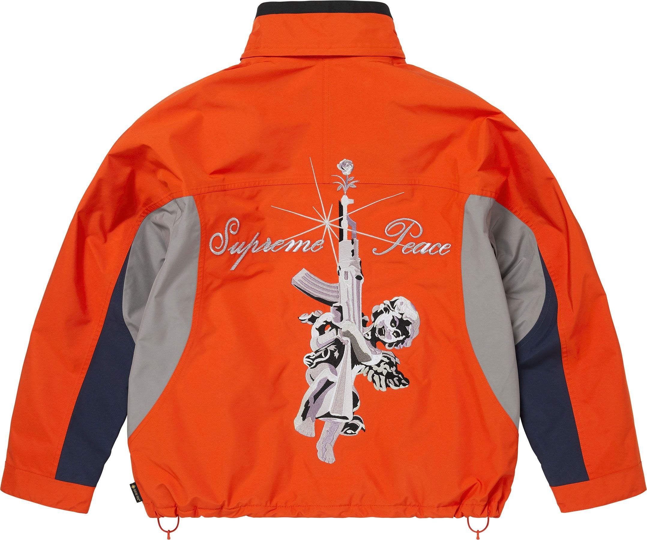 AOI GORE-TEX Hooded Jacket view 12
